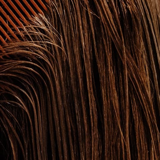 Bang and Face-framing Membership at Ember & Bloom Hair Studio in Idaho Falls, ID